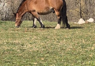 inbound2211112582044832172