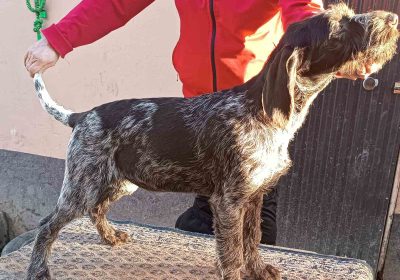 viber-image-2026-03-03-18-27-20-790