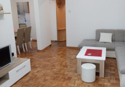 1-sitting-room-Celebonovica-Bezanija-Beograd-flat-sale-tenanted-Expo-2027-prodaja-sa-zakupcima-tenanted-invest-estate-property-bitcoin-Serbia-Copy-Copy-8