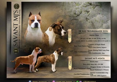 3edb6d9f-123b-4422-8cdf-aeaea0876f18