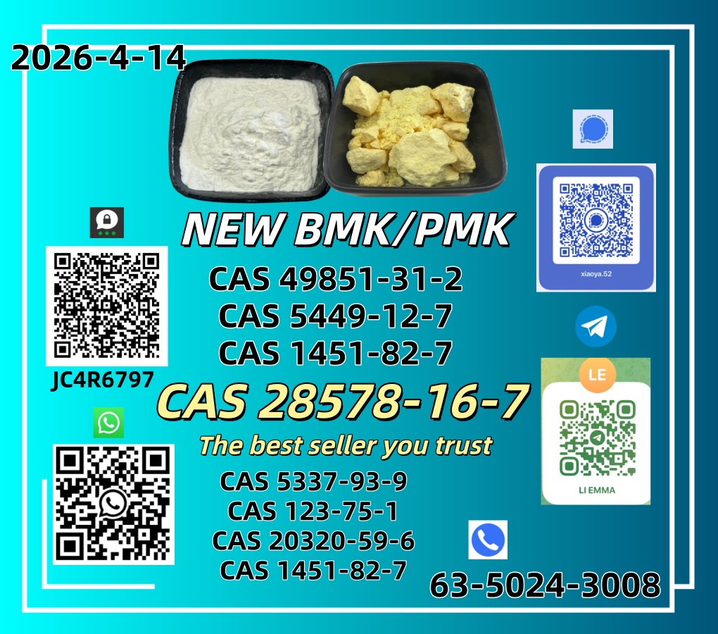 NEW BMK/PMK CAS 49851-31-2