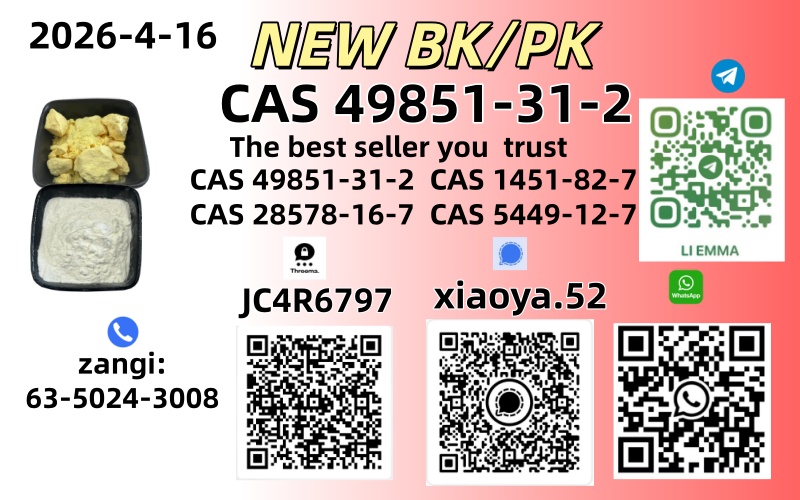 NEW BMK/PMK CAS 49851-31-2