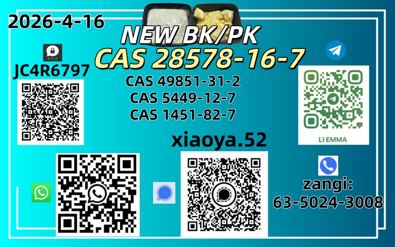 NEW BMK/PMK CAS 49851-31-2