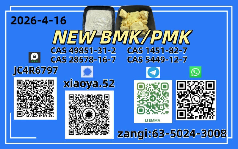 NEW BMK/PMK CAS 49851-31-2