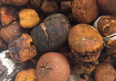 5686ecd6608023cf0f947e55ffde75efb9fccdd3