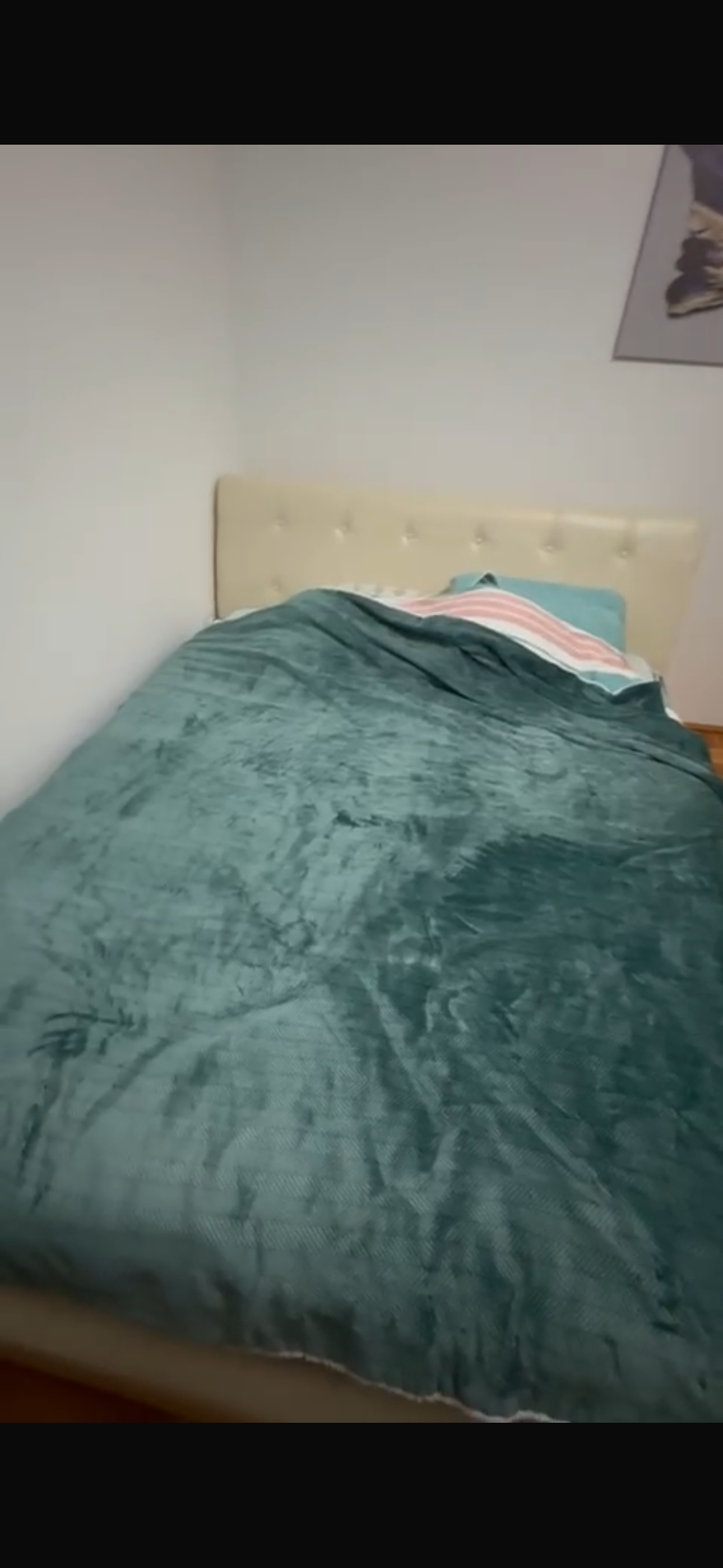 Prodajem francuski krevet