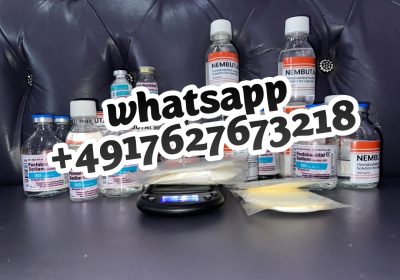 IMG-1767436356401-1