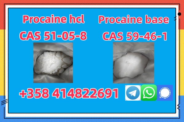uhnjhProcaine Hcl Cas 51-05-8